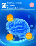 Men's Daily Energy Nutrition Packets - 50