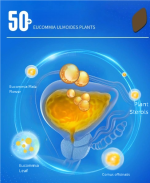 Men's Daily Energy Nutrition Packets - 50