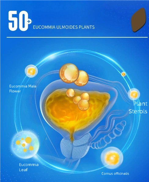 Men's Daily Energy Nutrition Packets - 50